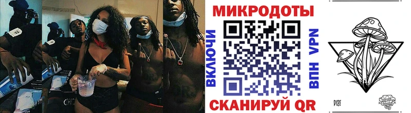 Купить где  Губкин  Псилоцибиновые грибы Magic Shrooms 