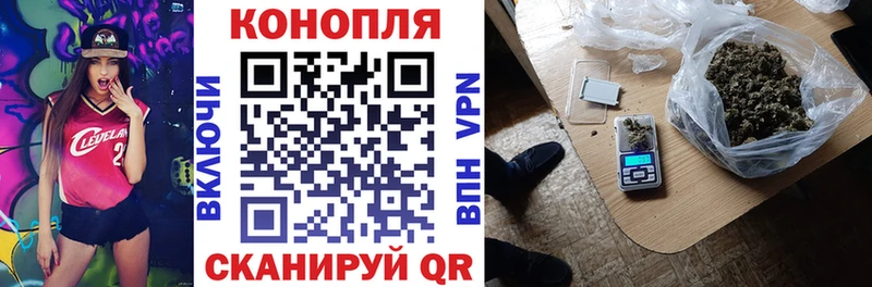 Купить где  Губкин  Шишки марихуана гибрид 